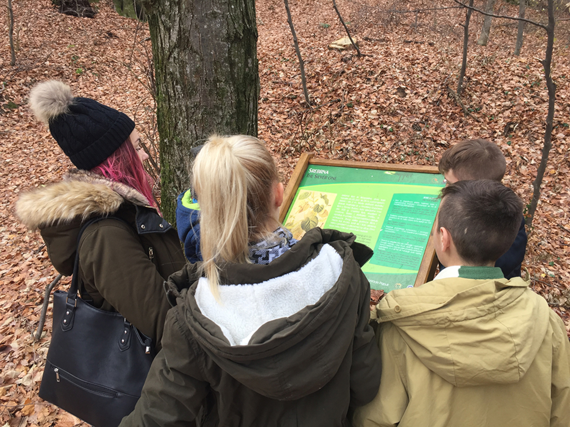 D9e7bb0b 44c8 4925 9943 75ac35cabb24