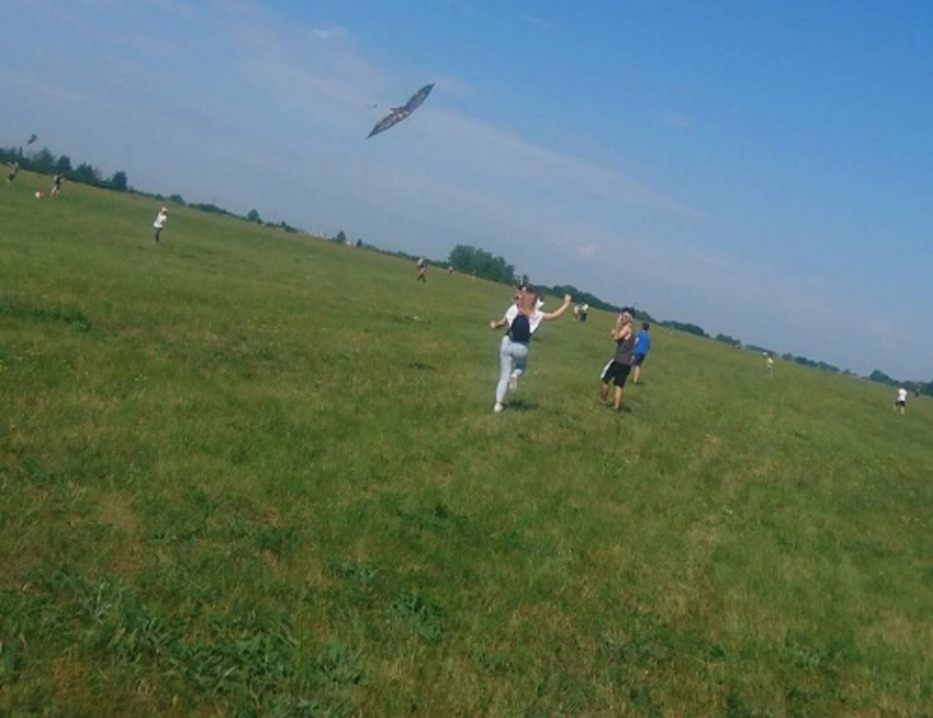 2e6dd163 86cc 4617 b686 0a025b03e42e