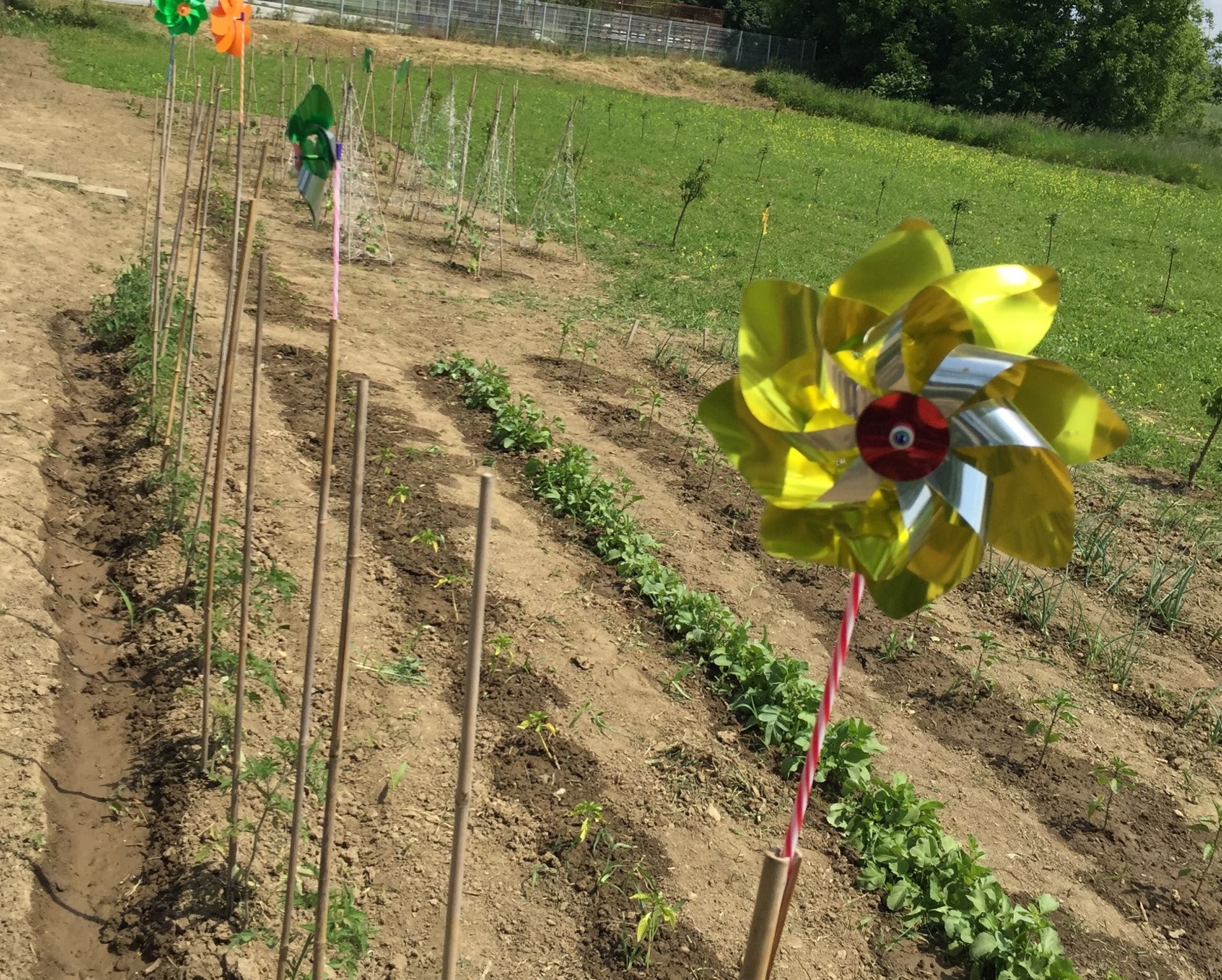 D6c9c4e4 b21d 4223 b988 35e54e21e46a