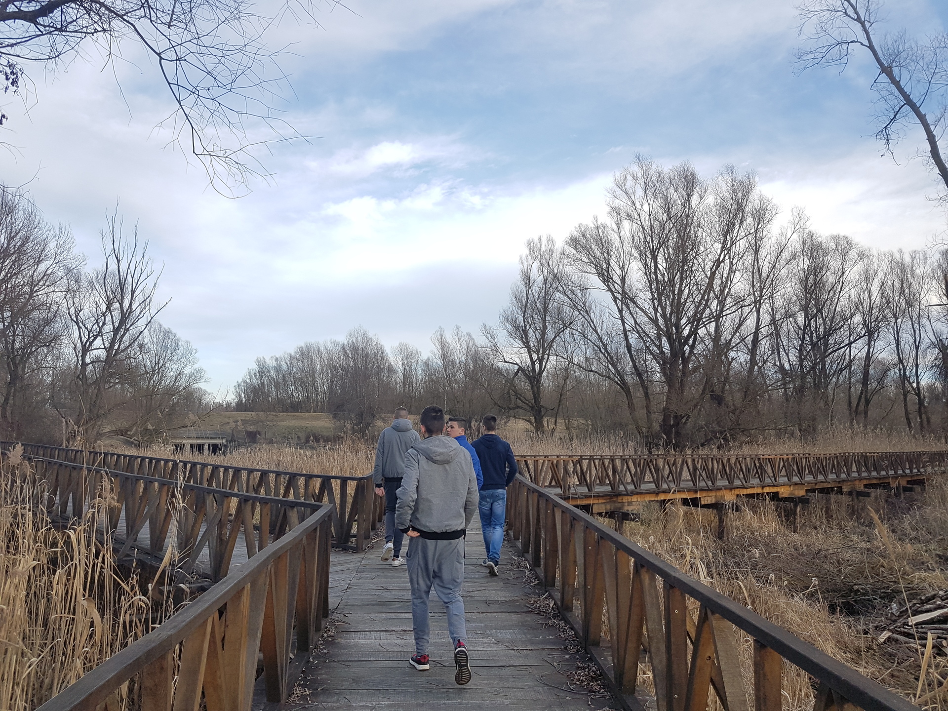 04dc7ec5 679c 4803 8c1f 0d1344353349