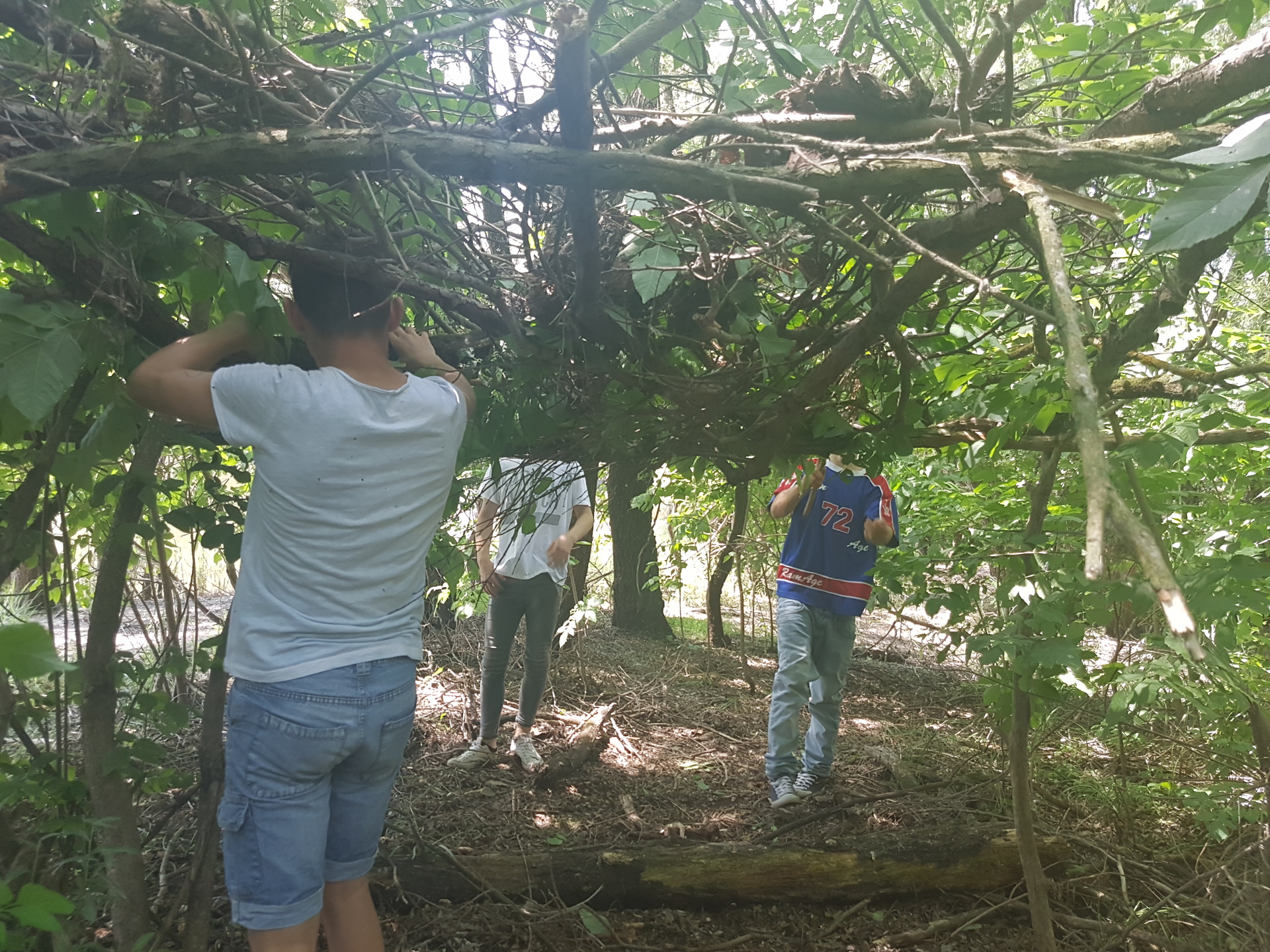 B609bbf2 98ef 403c b30f 2b32d46889c4