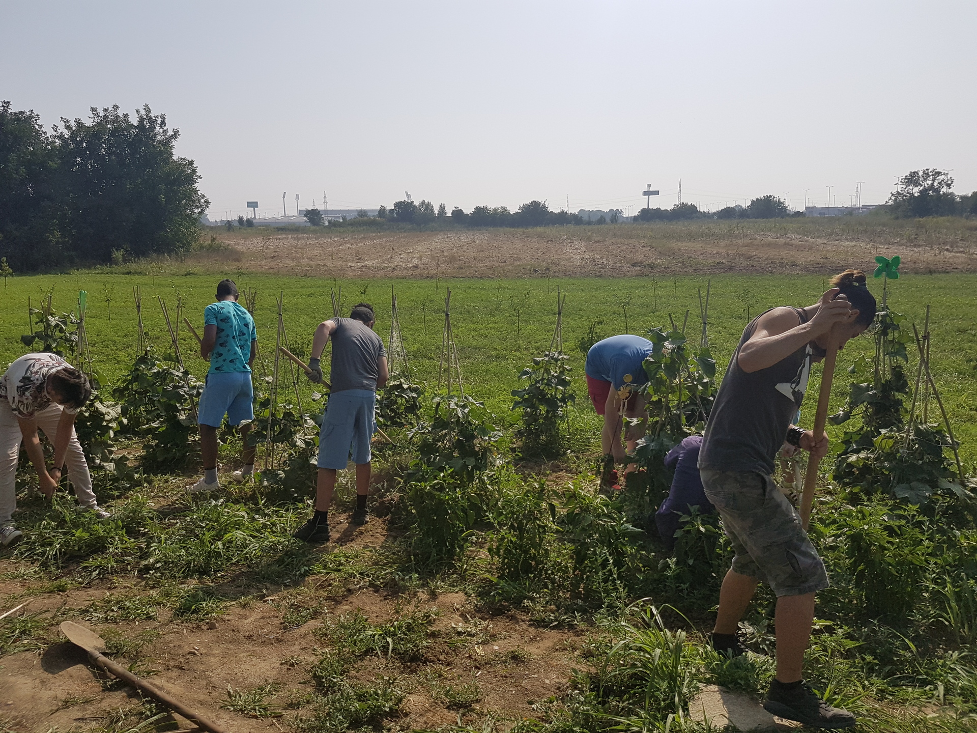 637e0308 e802 4257 bc34 6144b01dd430